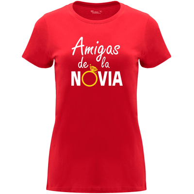 Camiseta despedida de soltera - Amigas de la novia