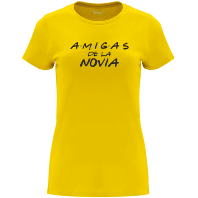 Camiseta despedida de soltera - Friends, amigas de la novia