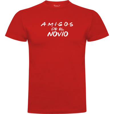 Camiseta despedida de soltero Friends amigos del novio
