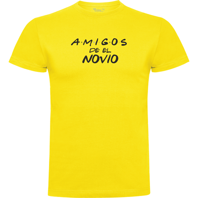 Camiseta despedida de soltero Friends amigos del novio