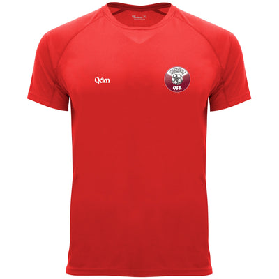 Camiseta Fútbol Qatar